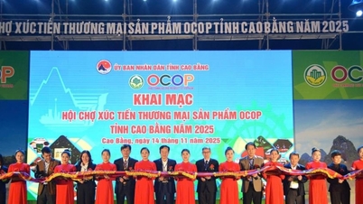 Cao Bang setzt Ressourcen vorrangig ein, um das Leben der Menschen zu verbessern.