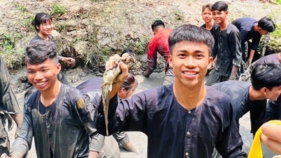 Туристы, путешествующие на Запад: осушение канав, ловля рыбы, знакомство со вкусом старого родного города