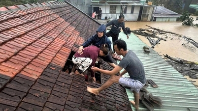 Apakah jurusan yang perlu saya pelajari untuk meramalkan ribut dan memeriksa empangan hidroelektrik untuk pelepasan banjir?