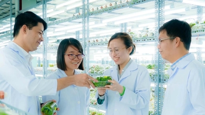 Ho Chi Minh-byen: Diskusjon av måter å fremme verdien av store landbruksarealer etter fusjonen