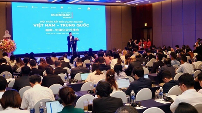 Promowanie współpracy inwestycyjnej między Wietnamem a Chinami w nowej erze