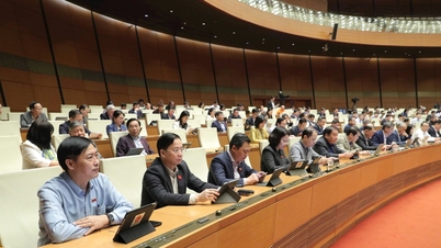 Ontwerp van investeringswet (gewijzigd) Bevat een duidelijke "maatregel", die zowel decentralisatie als controle van de macht waarborgt