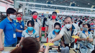 Trước 25/12, báo cáo tiền lương, thưởng Tết