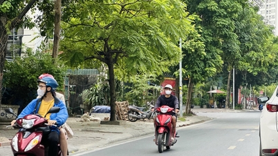 Thời tiết ngày 28/11: Bắc Bộ và Bắc Trung Bộ trời nắng, Nam Bộ có nơi mưa rào và dông