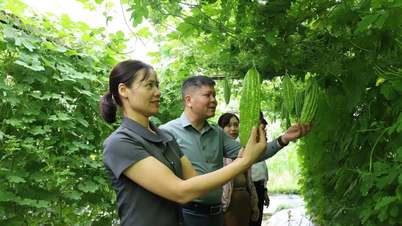 카우티아구 소수민족 청년들, 경제 활발히 발전
