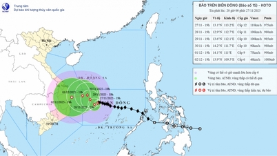 ダクラク省：暴風雨第15号による大雨、洪水、土砂崩れへの対応シナリオを発表