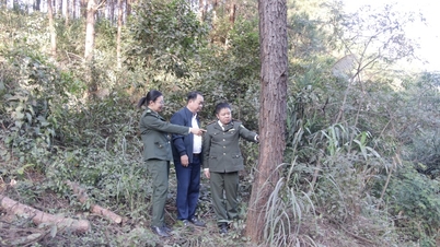 "الذهب الأخضر" المستدام