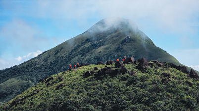 غزو ​​"سقف" كوانج تري