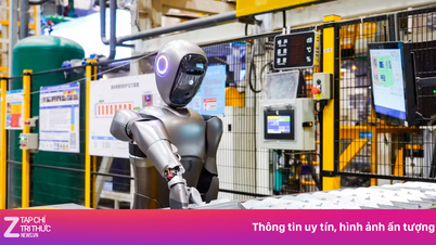 Безсвітлові заводи в Китаї