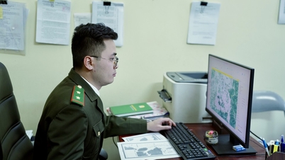 Mendigitalkan pengurusan hutan