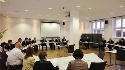 Policy dialogue - an effective cooperation channel between the Communist Party of Vietnam and the German Left Party