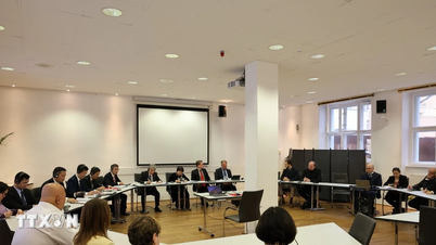 Canal de cooperación eficaz entre el Partido Comunista de Vietnam y el Partido de Izquierda Alemán