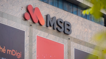 Moody's підвищує кредитний рейтинг до MSB