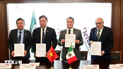 Afdrukken van de medische samenwerking tussen Vietnam en Mexico in de 50-jarige reis van vriendschap