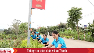 Объединение участников, содействие созданию образцовых деревень