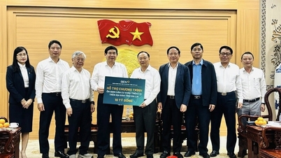 BIDV Binh Dinh, 'çifte doğal afet'in üstesinden gelmek için hükümet ve halkla el ele veriyor