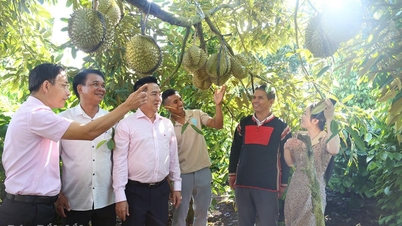 जातीय अल्पसंख्यकों को आगे बढ़ने में मदद के लिए अधिक संसाधन