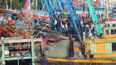 Lam Dong : En réponse à la tempête n° 15, interdiction de navigation en mer