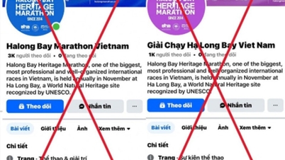 Cuidado con las estafas que se hacen pasar por eventos de carreras