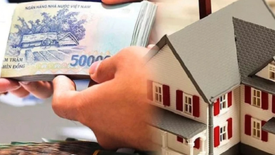 Decreto 304/2025/ND-CP: Rigor jurídico e humanidade na execução da penhora de bens garantidos.