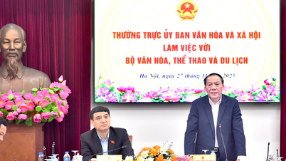 Den stående komiteen i nasjonalforsamlingens kultur- og sosiale komité samarbeider med departementet for kultur, sport og turisme