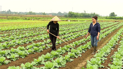Quy Mong kadınları konumlarını teyit ediyor ve tarımdan sürdürülebilir ekonomi geliştiriyor