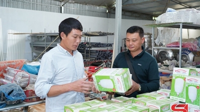 मुओंग ई के बारे में