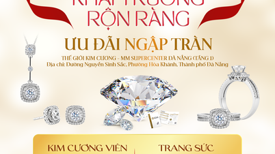 OTEVŘENÍ SUPERCENTRA DIAMOND WORLD MEGA MARKET V DANANGU