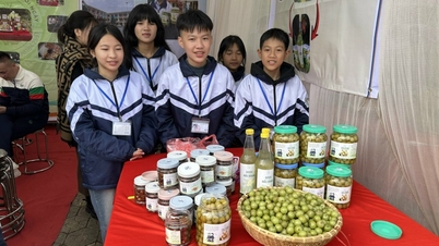 Jauhkan hutan dari sekolah