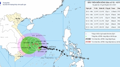 Storm No. 15 is at level 11 in the East Sea, with gusts of level 14.