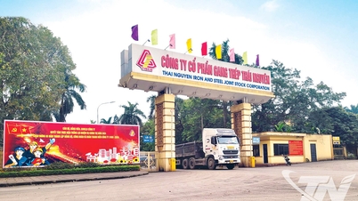 Корпорация Thai Nguyen Iron and Steel: стойкие инновации и пионеры экологичного развития