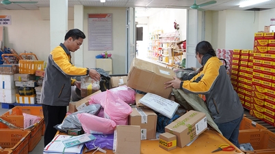 প্রতিযোগিতামূলক মনোভাব বজায় রাখা - পুরো নেটওয়ার্ক টানা ৩ সপ্তাহ ধরে সম্প্রচার মানের বৃদ্ধির গতি বজায় রেখেছে