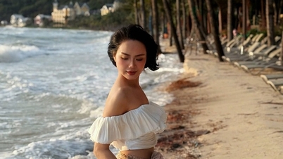 فو کوک: درآمد بودجه افزایش می‌یابد، انتظار می‌رود از 10،000 میلیارد دونگ ویتنام فراتر رود