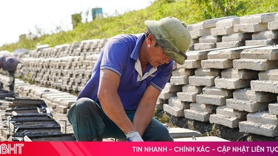 Acelerar a manutenção e o reparo de pontos-chave no dique de La Giang.