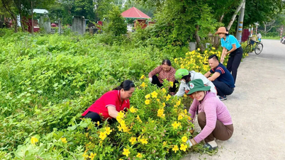 लोगों के दिलों में फादरलैंड फ्रंट - भाग 2: हरा रंग बनाए रखने के लिए हाथ मिलाना
