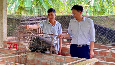 Nghia Tam ຍຶດໝັ້ນ​ໃນ​ການ​ເດີນທາງ​ກໍ່ສ້າງ​ຊົນນະບົດ​ໃໝ່