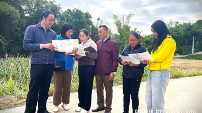 2025년 11월 28일 우편업계 보도 요약