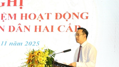 Breakthrough from the People's Councils at 2 levels of An Giang province