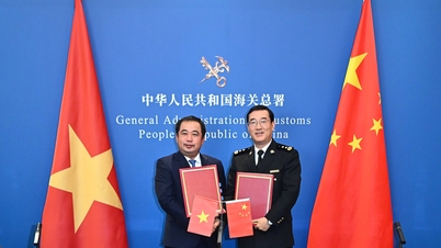 Vietnam - China: Signing Protocol on Export of Fresh Jackfruit