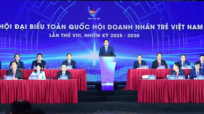 Persatuan Usahawan Muda Vietnam bertujuan untuk mengembangkan keahlian, menyumbang 15% daripada KDNK