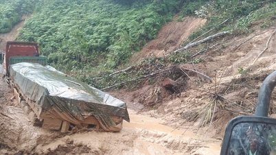 सड़क को भारी क्षति: क्या है कारण?