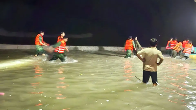 Lam Dong: Terwijl hij met een roeiboot probeerde het anker op te halen, werd een visser door de golven meegesleurd en verdween.