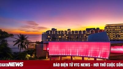 Ποια είναι η κλίμακα των 3 καζίνο στα οποία επιτρέπεται να παίζουν οι Βιετναμέζοι;