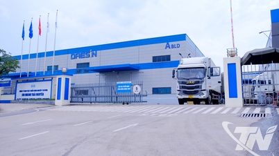 Enhance competitiveness of supporting industries