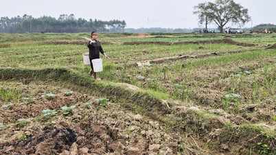 Striving to clear the ground for My Thai Industrial Park phase 1 in December 2025