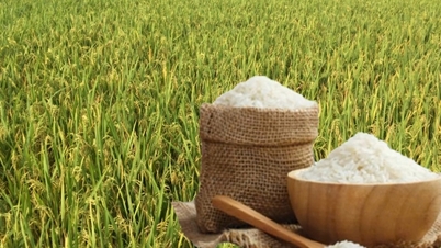 चावल की आज की कीमत, 28 नवंबर: बाजार शांत है