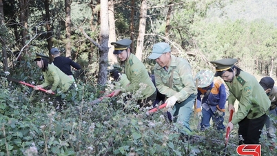 מניעת "אש" מרחוק בשמורת הטבע מונג לה