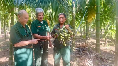 Des vétérans exemplaires perpétuent la tradition, dignes des soldats de l'Oncle Hô