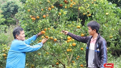 שינויים בגבול