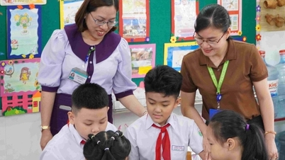 وزارت آموزش و پرورش به اطلاعات مربوط به تغییر رتبه معلمان هنگام حذف سطح منطقه پاسخ می‌دهد